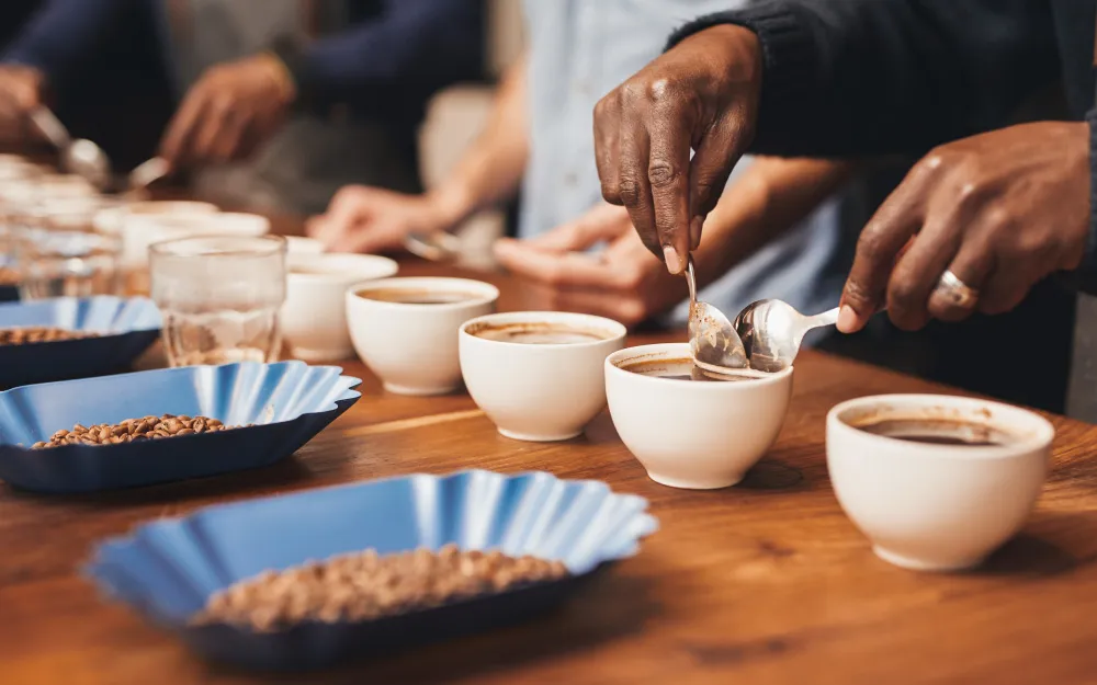 جلسه کاپینگ قهوه برای ارزیابی طعم و عطر دانههای قهوه توسط متخصصان