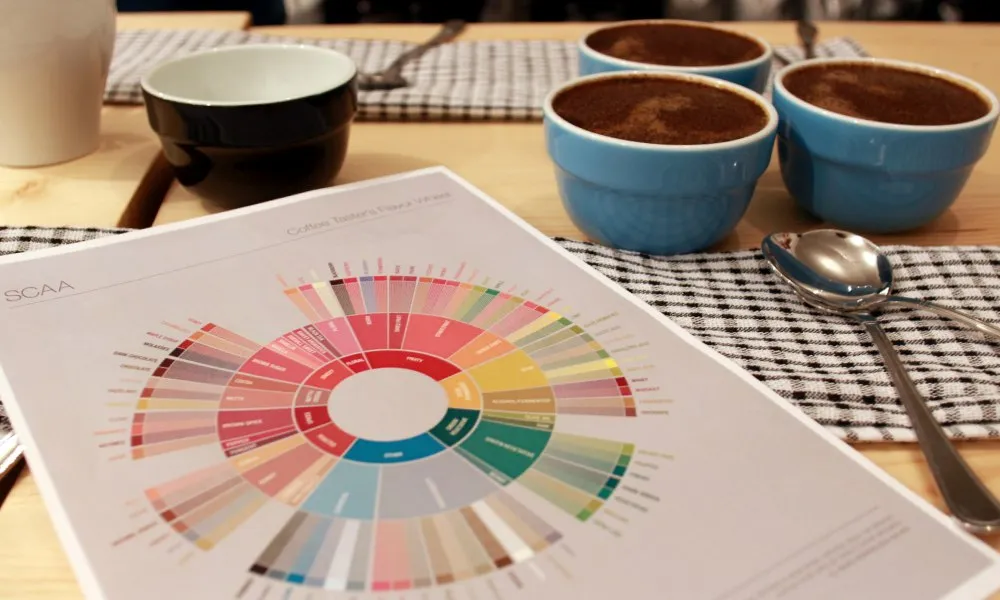 چرخه طعمی قهوه SCAA در کنار فنجانهای کاپینگ روی میز