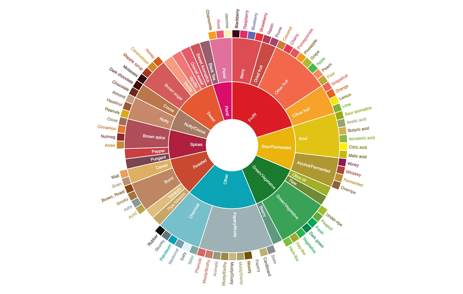 چرخه کامل طعمی قهوه شامل جزئیات طعمها از میوهای و مرکبات تا شکلاتی، ادویهای و گیاهی