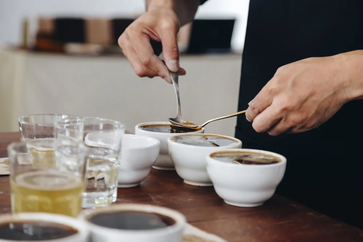 جلسه کاپینگ قهوه و ارزیابی حسی توسط داوران برای امتیاز SCA