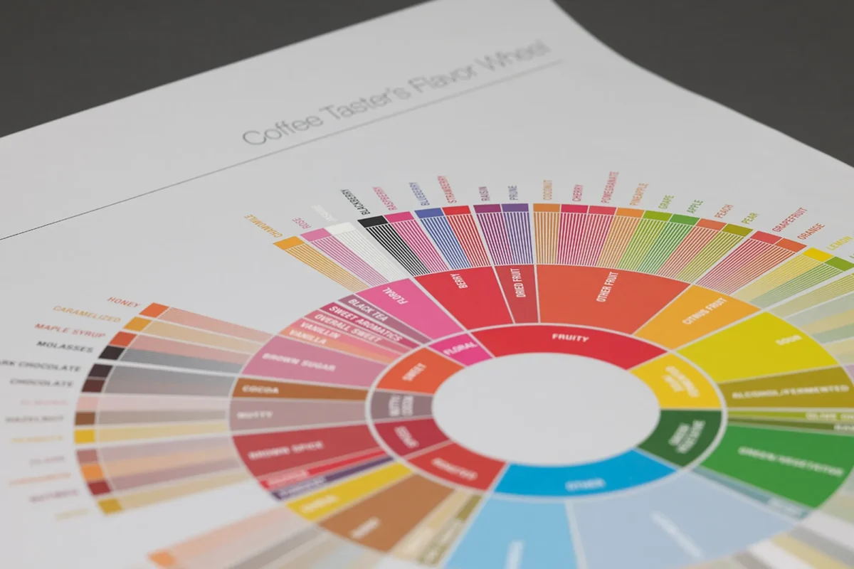 پوستر رسمی چرخه طعمی قهوه (SCA) شامل دسته‌بندی کامل عطر و طعم‌های قهوه به‌صورت رنگی