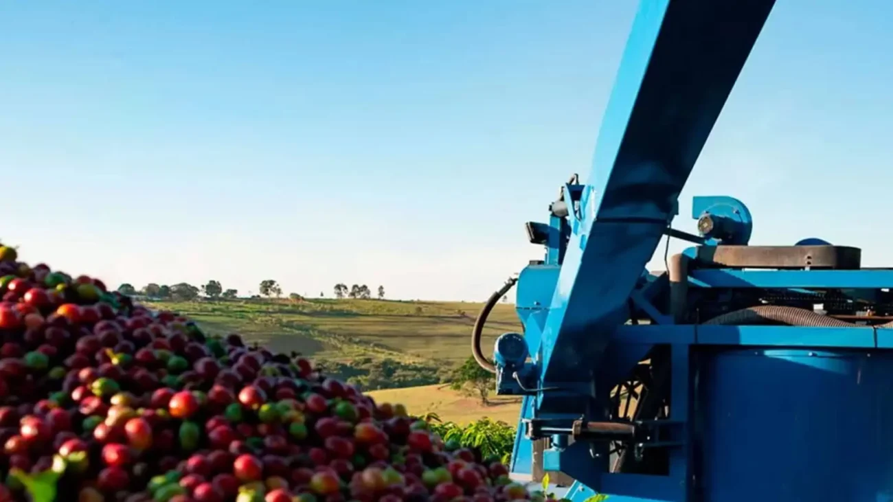 فناوری مدرن در فرآوری قهوه روبوستا در ویتنام